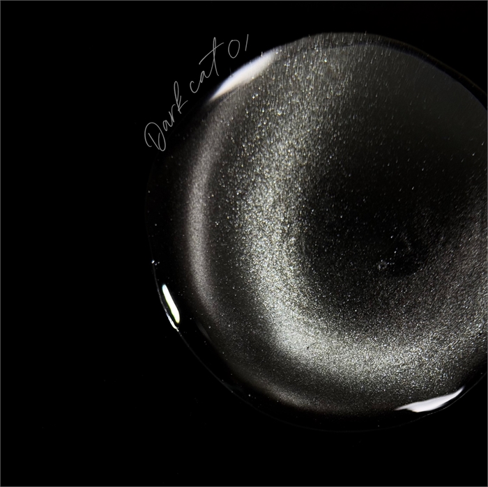 iPerfect Гель-лак Dark cat color gel №02, 10гр iPerfect_Darkcat02 - фото 38926