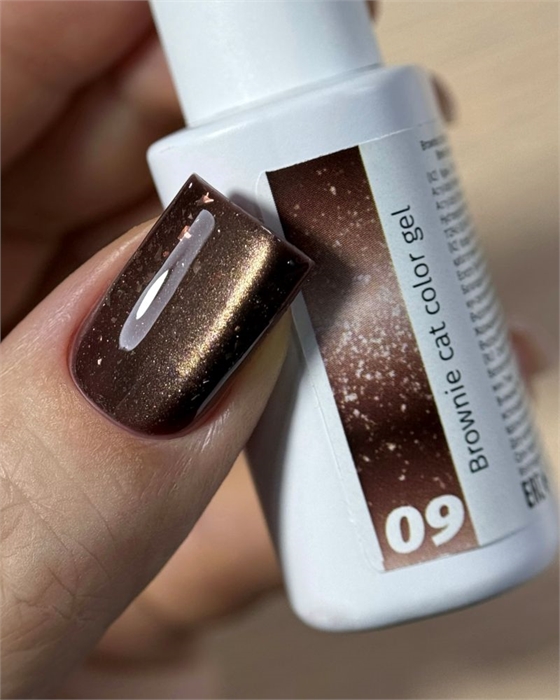 iPerfect Гель-лак Brownie cat color gel №09, 10гр iPerfect_Browniecat09