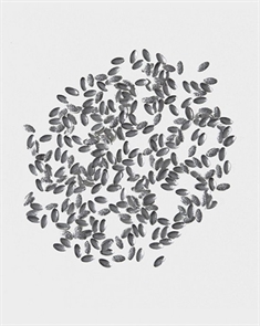 Artex олива серебро 56 Artex_olivesilver56