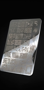 Double Пластина для стемпинга А07, 9,5*14,5см Double_plastinaA07