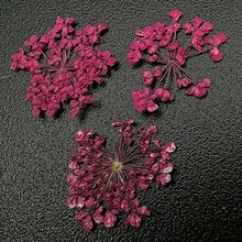1682 Сухоцветы "Любимые цветочки"