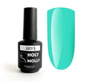 {{productViewItem.photos[photoViewList.activeNavIndex].Alt || productViewItem.photos[photoViewList.activeNavIndex].Description || 'Holy Molly Гель-лак Juicy №5. 11ml'}}