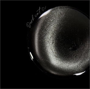 {{productViewItem.photos[photoViewList.activeNavIndex].Alt || productViewItem.photos[photoViewList.activeNavIndex].Description || 'iPerfect Гель-лак Dark cat color gel №02, 10гр'}}