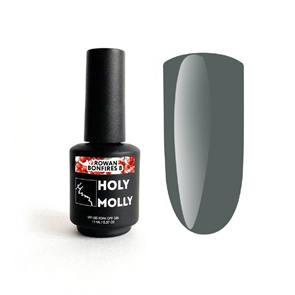 {{photo.Alt || photo.Description || 'Holy Molly Гель-лак ROWAN BONFIRES №08, 11мл'}}