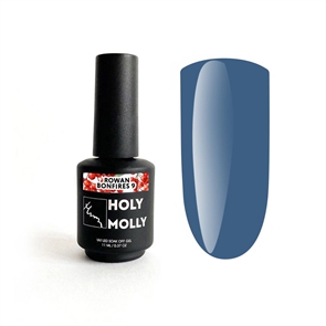 {{photo.Alt || photo.Description || 'Holy Molly Гель-лак ROWAN BONFIRES №09, 11мл'}}