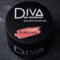 Diva Builder gel Plum Juice 30g Diva_ Buildergel_ Plum Juice30