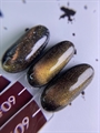 Unique Гель-лак Opal Cat eye №09 8мл Unique_OpalCateye09_8