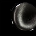 iPerfect Гель-лак Dark cat color gel №02, 10гр iPerfect_Darkcat02 - фото 38926