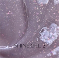 Гель Блеск Shine №002 LESTATE 25 г LESTATE_Shinegel2