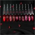 iPerfect Гель-лак Ruby cat color gel №09, 10гр iPerfect_Rubycat09 - фото 40744