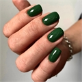 THE BEST SMART GEL POLISH "RICH" TB_SMARTGELPOLISH_RICH