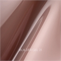 LESTATE Гель Builder gel №21, 25гр LESTATE_Buildergel21